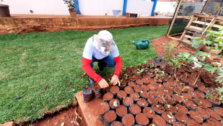 Farmácia Verde Colégio Sinésio Costa 9.jpg