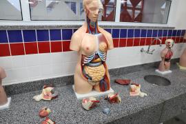 Nova escola em tempo integral transforma ensino e inspira futuros cientistas em Barra da Estiva 8.jpeg