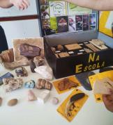 Paleociência na Escola - Uesb (2).jpeg