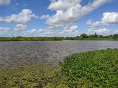 Estudantes de Santa Bárbara realizam projeto de conservação do Rio Pojuca 2.jpeg