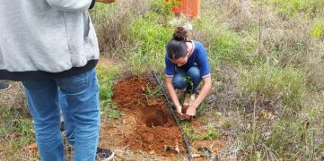 Rede estadual participa da Ação de Plantio de Mudas no Mês do Meio Ambiente 1.jpeg
