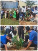 Rede estadual participa da Ação de Plantio de Mudas no Mês do Meio Ambiente 12.jpeg
