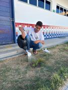 Rede estadual participa da Ação de Plantio de Mudas no Mês do Meio Ambiente 6.jpeg