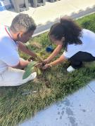 Rede estadual participa da Ação de Plantio de Mudas no Mês do Meio Ambiente 7.jpeg