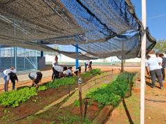 Horta ecológica Educa Mais Bahia 3.jpeg