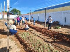 Horta ecológica Educa Mais Bahia 4.jpeg
