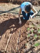 Horta ecológica Educa Mais Bahia 5.jpeg