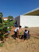 Horta ecológica Educa Mais Bahia 8.jpeg