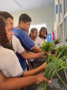 Horta ecológica Educa Mais Bahia 9.jpeg