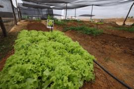 WhatsApp Image 2025-10-11 at 10.52.35 (2).jpeg