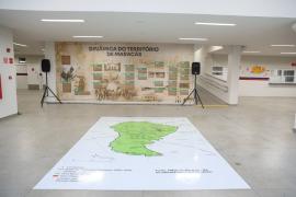 Colégio Estadual de Tempo Integral Iracy Marlene da Hora Passos 100ª  (5).jpeg