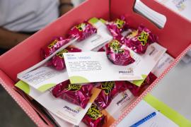 Jornada Pedagógica 2026 marca o início do ano letivo na rede estadual da Bahia 3.jpeg