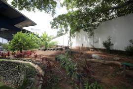 Governo da Bahia inaugura modernização do Colégio Estadual de Tempo Integral Mário Costa Neto, em Salvador (21).jpeg