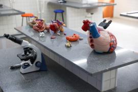 Inauguração da Modernização do Colégio Estadual de Tempo Integral Evaristo da Veiga (14).jpeg