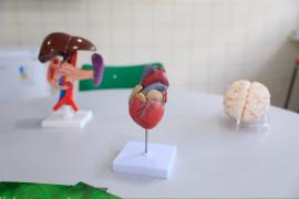 Inauguração da Ampliação com Modernização do Colégio Estadual de Tempo Integral Manoel Guimarães Santana (26).jpeg