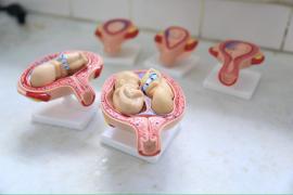 Inauguração da Ampliação com Modernização do Colégio Estadual de Tempo Integral Manoel Guimarães Santana (27).jpeg