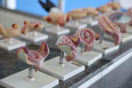 Inauguração da modernização do Centro Educacional Edgard Santos (14).jpeg