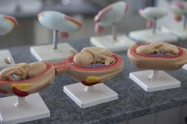 Inauguração da modernização do Centro Educacional Edgard Santos (16).jpeg