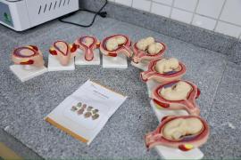 Inauguração do Colégio Estadual Rotary (27).jpeg