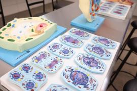 WhatsApp Image 2026-04-17 at 12.03.26.jpeg