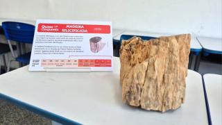 Colégio estadual recebe exposição itinerante do Museu Geológico da Bahia (16).jpeg