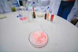 Feira de Ciências estimula pesquisa e inovação entre estudantes, em Conceição do Jacuípe (13).jpeg