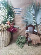 Feira literária valoriza cultura regional e amplia protagonismo estudantil em Macaúbas (14).jpeg