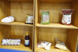 SEC conclui encontro estadual de nutricionistas com lançamento de novos itens da agricultura familiar (6).JPG