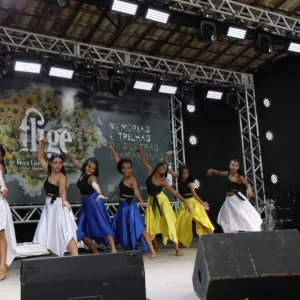 Professores e estudantes da rede estadual mostram seus trabalhos no terceiro dia da Fligê