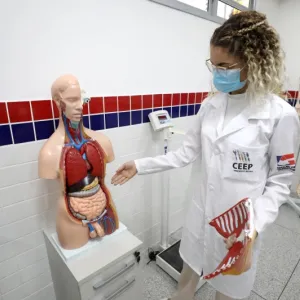 SEC realiza nova etapa de inscrições para 3.690 vagas de cursos técnicos