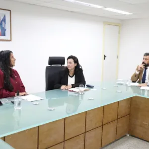 Programas de apoio à internacionalização discutidos entre SEC e embaixada da Espanha