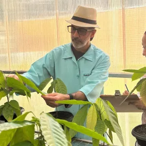 Pesquisadores da Uesc descobrem potencial biotecnológico em proteína da vassoura-de-bruxa