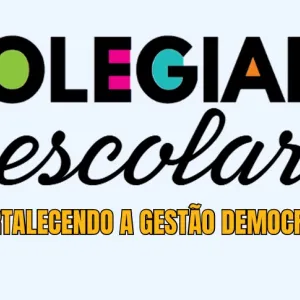 Eleições do Colegiado Escolar na rede estadual já têm calendário definido