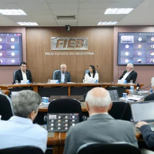 Secretária da Educação apresenta Programa Bahia Alfabetizada à diretoria da FIEB