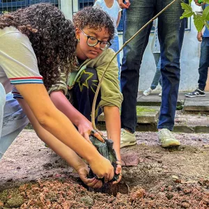 Rede estadual participa da Ação de Plantio de Mudas no Mês do Meio Ambiente