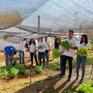 Estudantes Estaduais de Bom Jesus da Lapa constroem horta ecológica em atividade do programa Educa Mais Bahia
