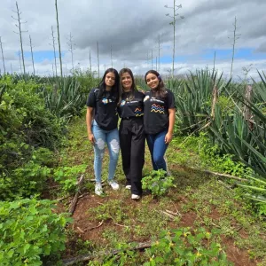 Cetep de Araci e UFRB cadastram patente de projeto que apresenta alternativa sustentável ao uso de plástico