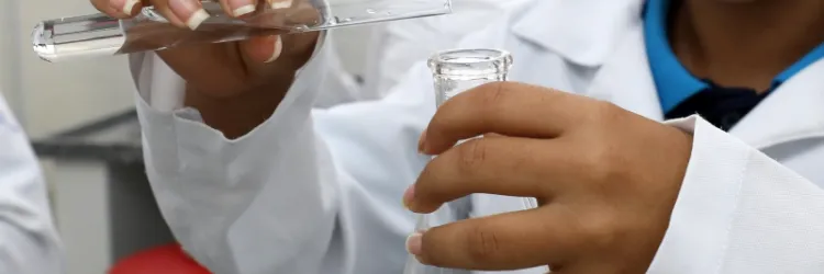 Encontro dos Clubes de Ciências reúne professores dos 27 Núcleos Territoriais da Bahia