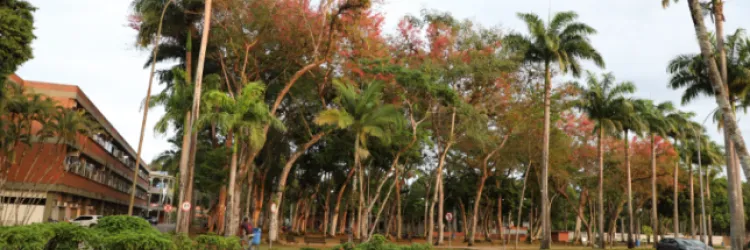 Uesc se mantém como a primeira Universidade entre as estaduais da Bahia