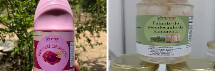 Estudantes de Amargosa desenvolvem projetos na área alimentícia com foco no empreendedorismo