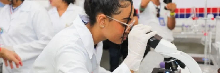 SEC mobiliza escolas para as olimpíadas em diferentes áreas do conhecimento