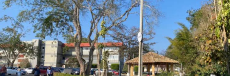 Vestibular 2025: conheça as opções em Conquista, polo de Educação Superior