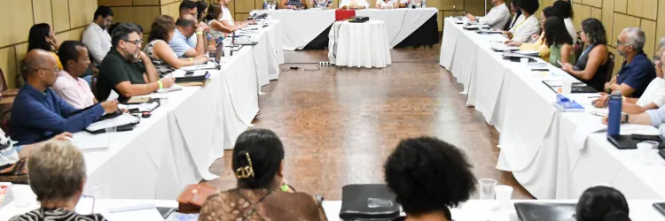 Reunião de planejamento da UNEB 