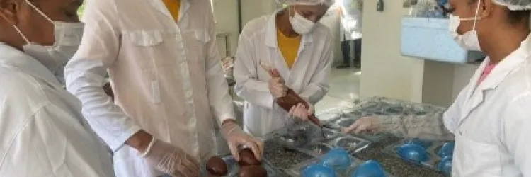 Prazo de inscrição para mais de 14 mil vagas em cursos técnicos gratuitos termina nesta quinta (27)