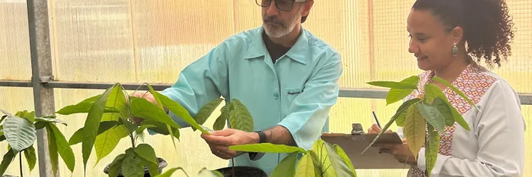 Pesquisadores da Uesc descobrem potencial biotecnológico em proteína da vassoura-de-bruxa