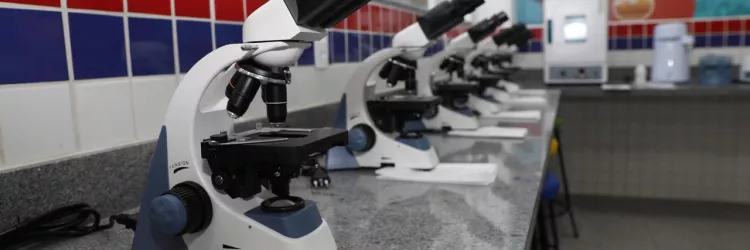 Fapesb oferece bolsas para professores coordenadores de Clubes de Ciências