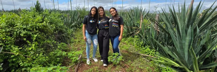 Cetep de Araci e UFRB cadastram patente de projeto que apresenta alternativa sustentável ao uso de plástico