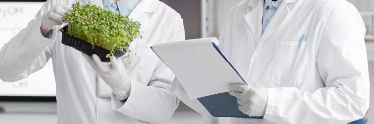 Educação, tecnologia e sustentabilidade