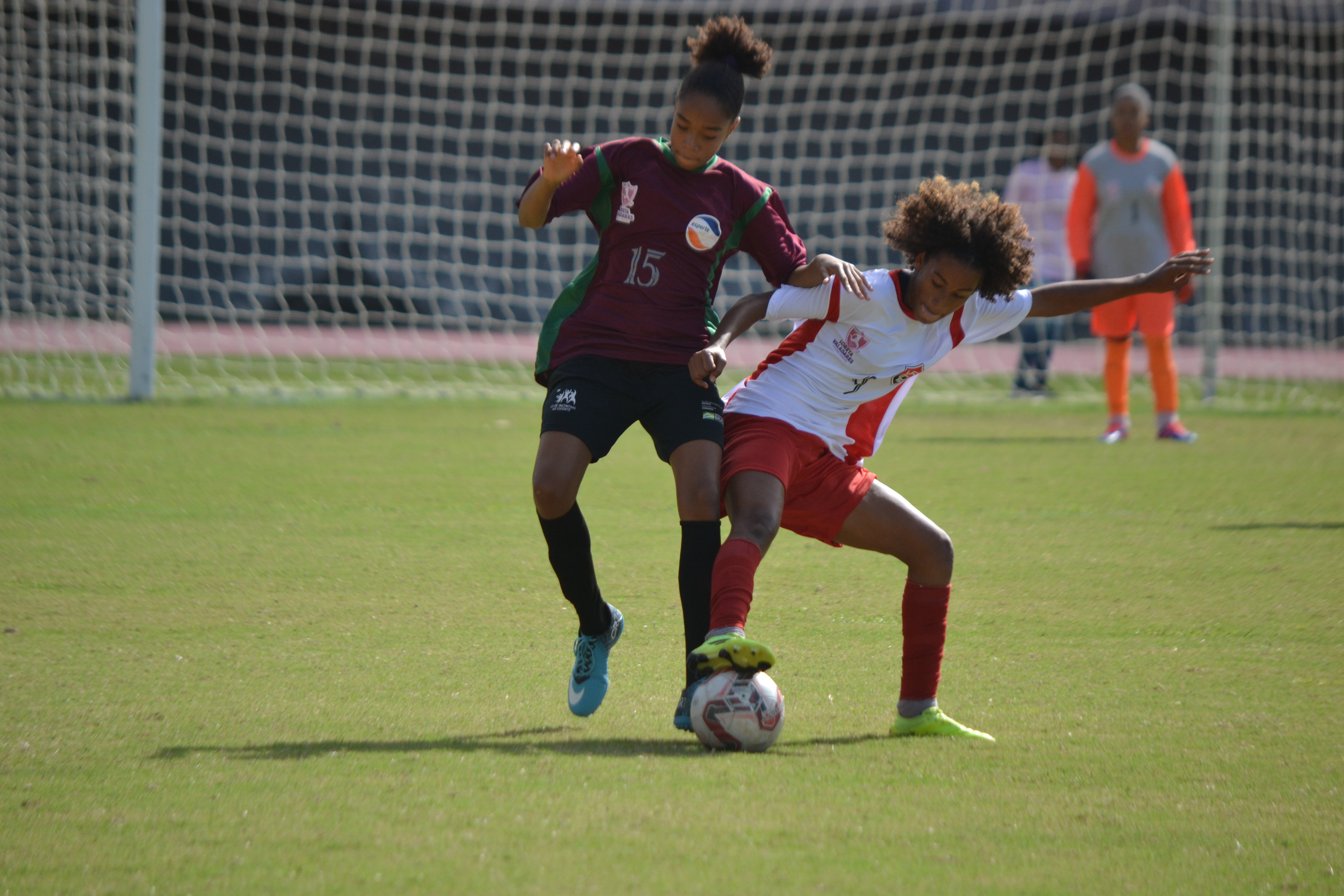  João Ubaldo - Ascom Sudesb