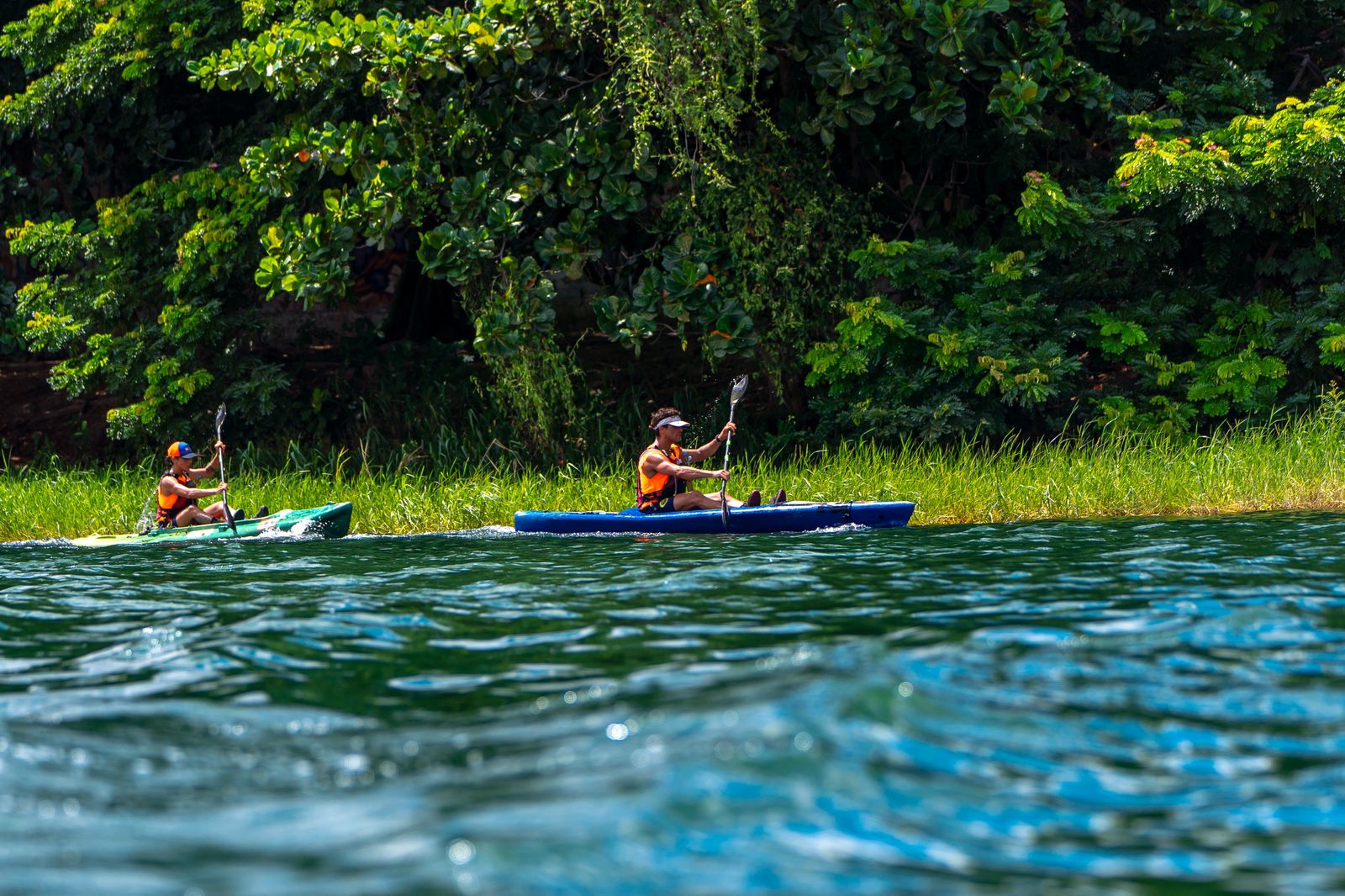 Camila de Araújo e Guilherme Pahl 